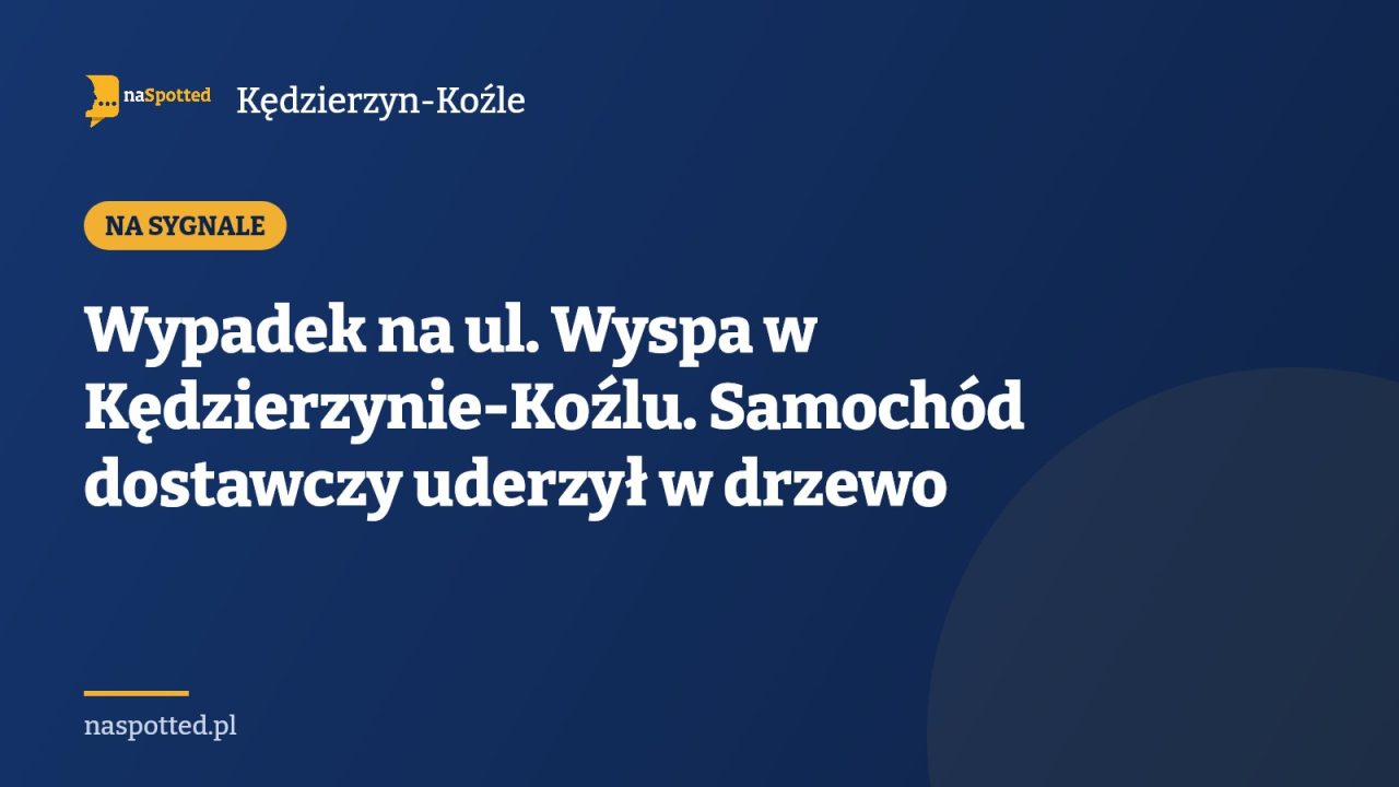 Wypadek na ul. Wyspa w Kędzierzynie-Koźlu. Samochód dostawczy uderzył w drzewo