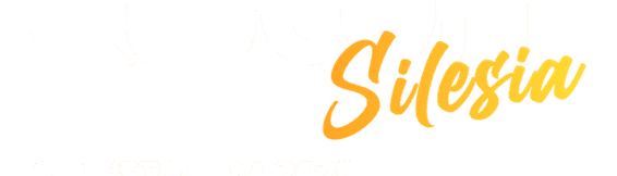 Ryucon Silesia 2026 powraca do Gliwic. Fani kultury azjatyckiej opanują arenę