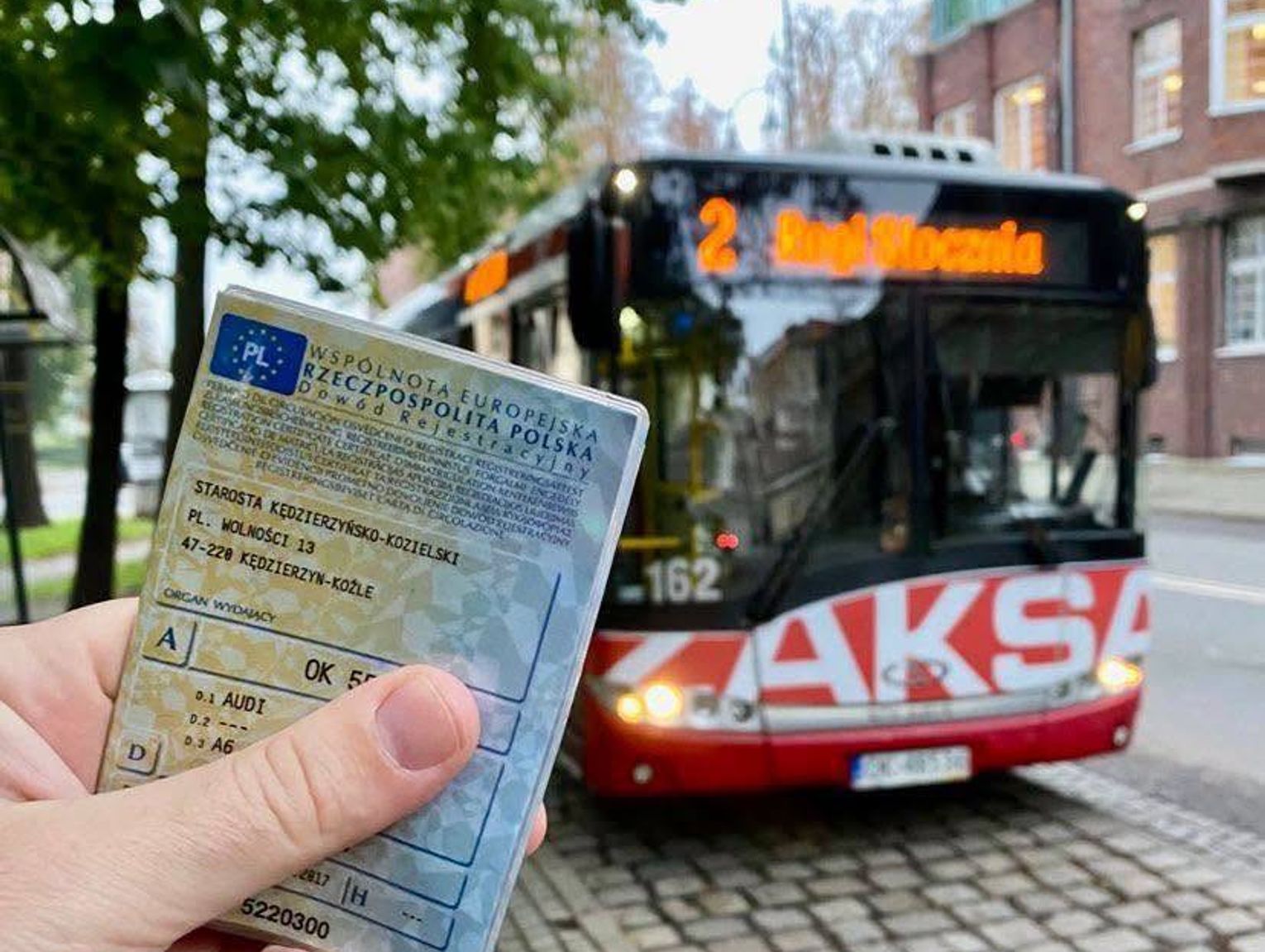Dzień Bez Samochodu w Kędzierzynie-Koźlu: Darmowa podróż autobusem MZK