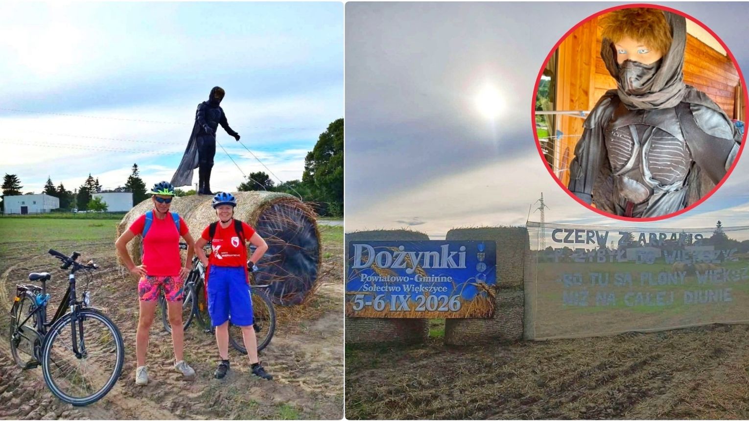 Skradziono figurę Jeźdźca z Diuny w Większycach. Autorka apeluje o zwrot