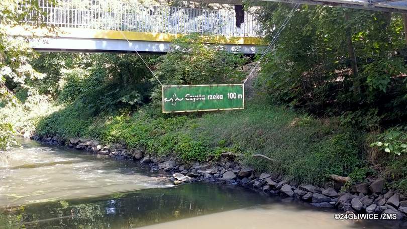 Tajemnicze drogowskazy nad Kłodnicą. Czy to gliwicki Banksy?
