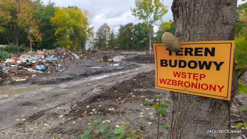 Park Południowy w Gliwicach - ruszyła wycinka drzew pod inwestycję