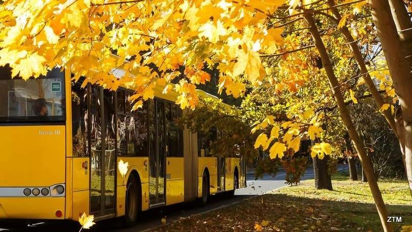Zmiany w kursowaniu autobusów w Łabędach. Sprawdź nowe lokalizacje przystanków