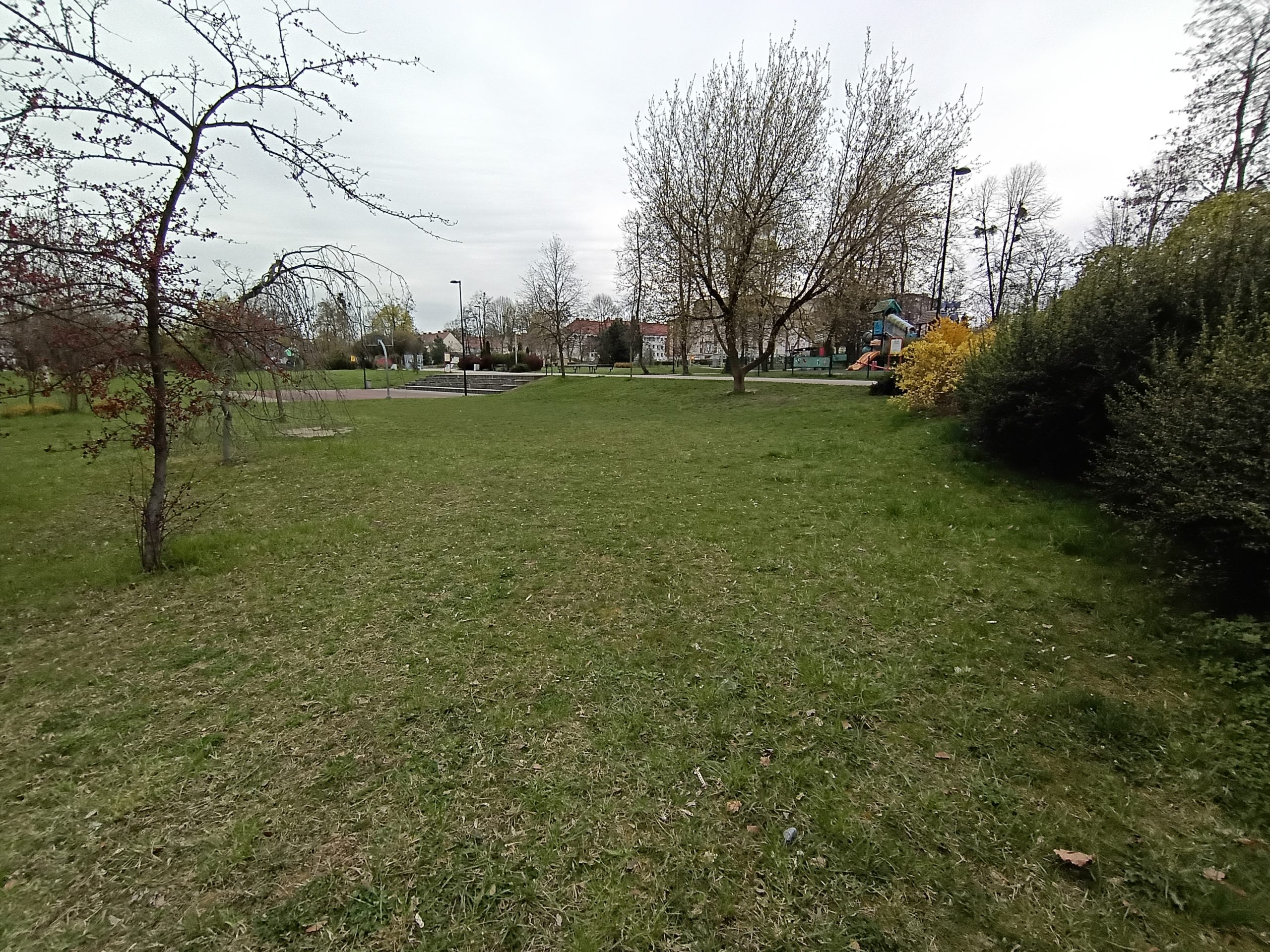 Ninja Park w Łabędach: powstaje nowa strefa treningowa