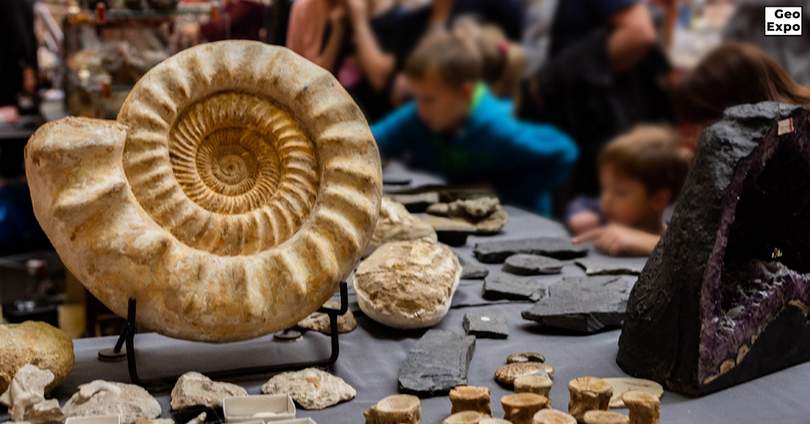 GeoExpo w Gliwicach: Giełda Biżuterii, Minerałów i Skamieniałości już w ten weekend