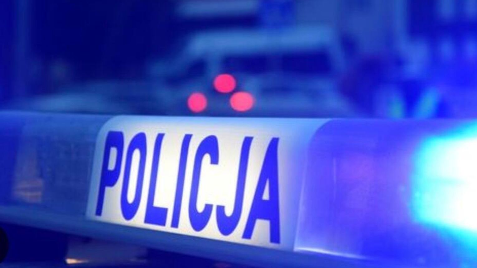 Tragiczne odkrycie w Kędzierzynie-Koźlu. Ciało kobiety w lesie na osiedlu Żabieniec