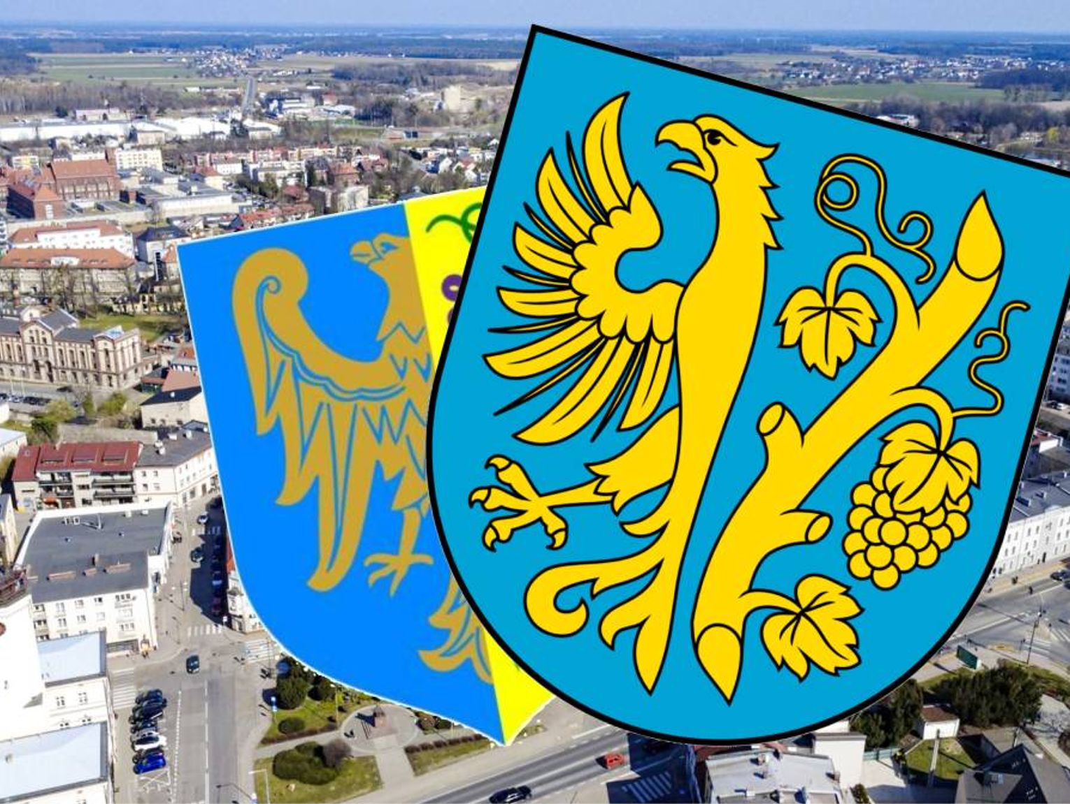 Czy Strzelce Opolskie zmienią swój herb? Ekspert wskazuje na błędy w obecnym symbolu