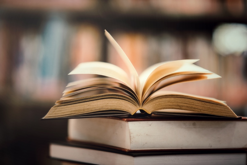 Letnie harce z książką: Wakacyjne atrakcje w gliwickiej Bibliotece