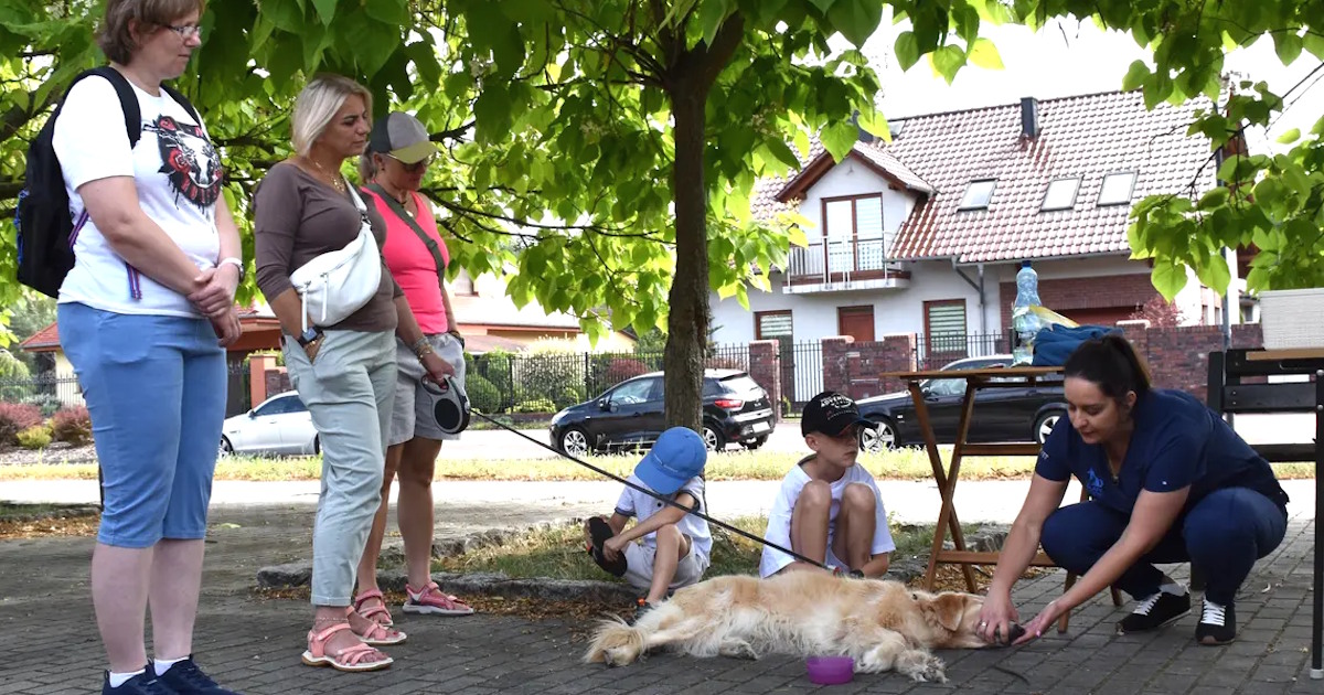 Kędzierzyn-Koźle: Praktyczne szkolenie z pierwszej pomocy dla zwierząt już w niedzielę