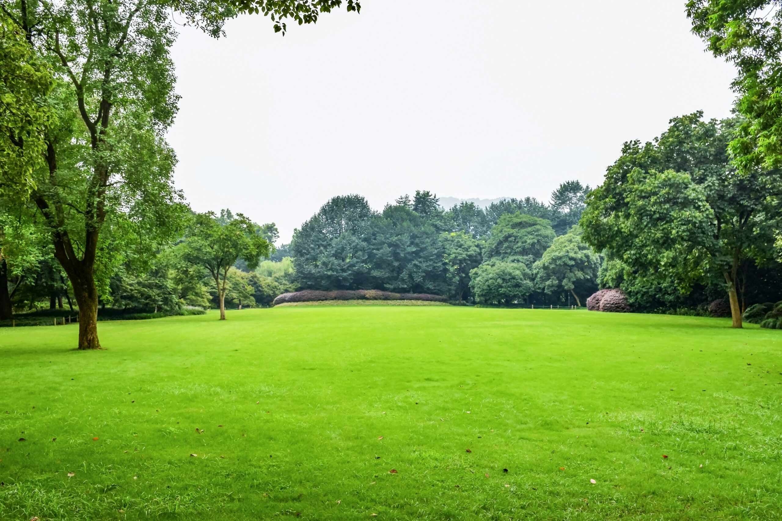 Na Sikorniku powstanie nowy park kieszonkowy