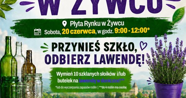 Wielka Zbiórka Szkła w Kędzierzynie-Koźlu: Mieszkańcy oddali tony odpadów w zamian za wrzosy