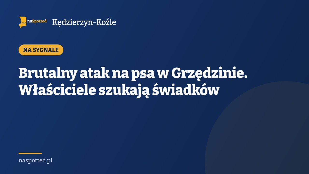 Brutalny atak na psa w Grzędzinie. Właściciele szukają świadków