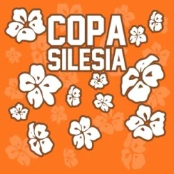 Copa Silesia 14: Gliwice gospodarzem zawodów BJJ