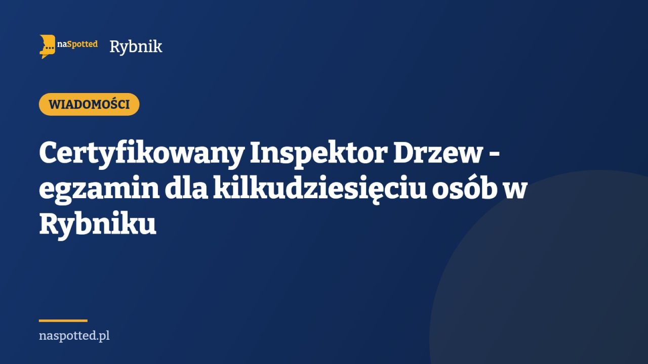 Certyfikowany Inspektor Drzew - egzamin dla kilkudziesięciu osób w Rybniku