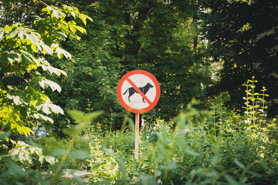 Tragiczny wypadek w Strzelcach Opolskich: dwulatek stracił palec podczas koszenia trawy