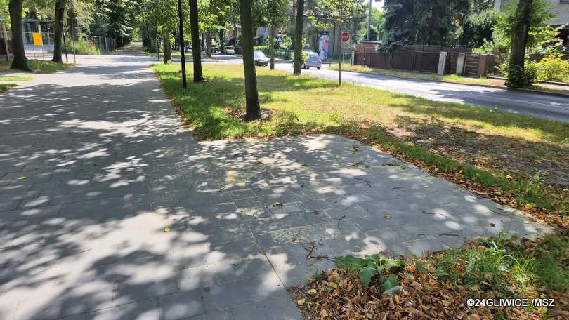 Gliwice: Aleja na Mickiewicza wciąż bez ławek, za to z monitoringiem